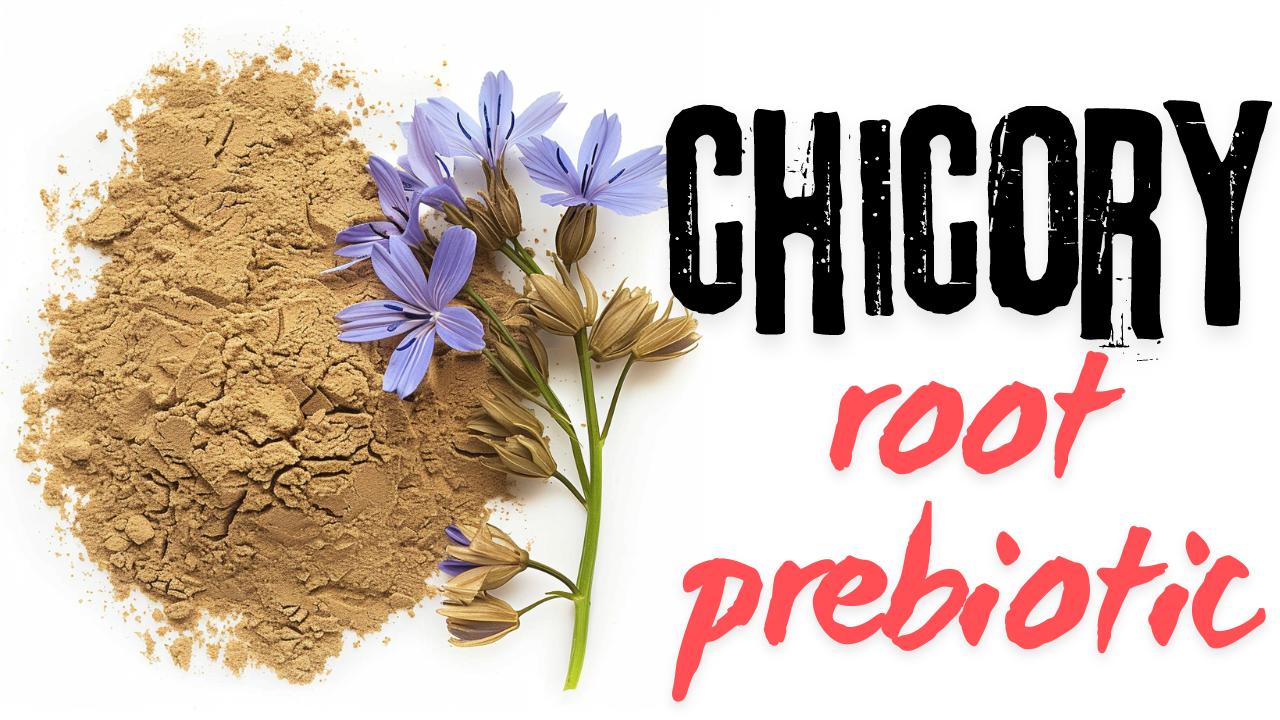 The Health Benefits of Chicory Root: Your Comprehensive Guide