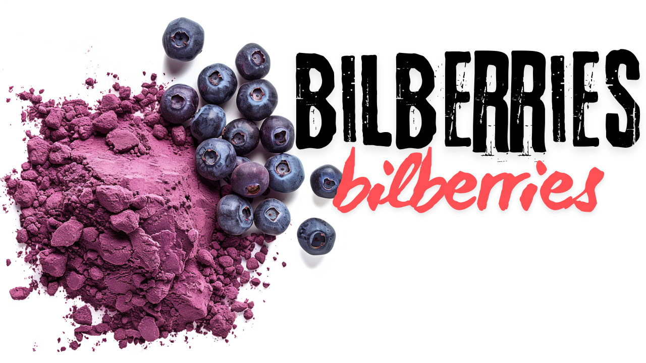 Bilberries: The Ultimate Superfood for Health and Wellness