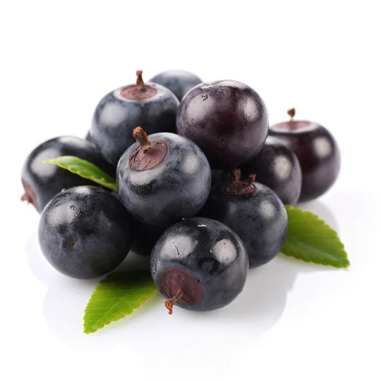 Benefits of Acai - Reddy4.com