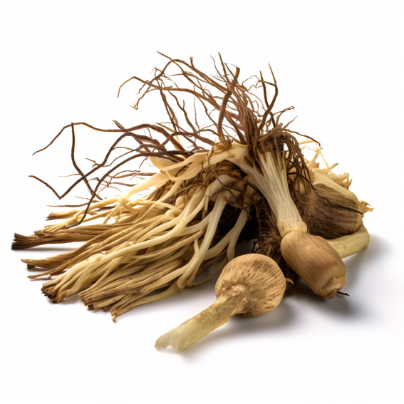 Benefits of Inulin (From Chicory Roots) - Reddy4.com
