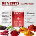 Load image into Gallery viewer, Visual representation of the health benefits of using Reddy Red Organic Superfood Powder, such as increased energy and improved digestion, illustrated with vibrant graphics and icons.