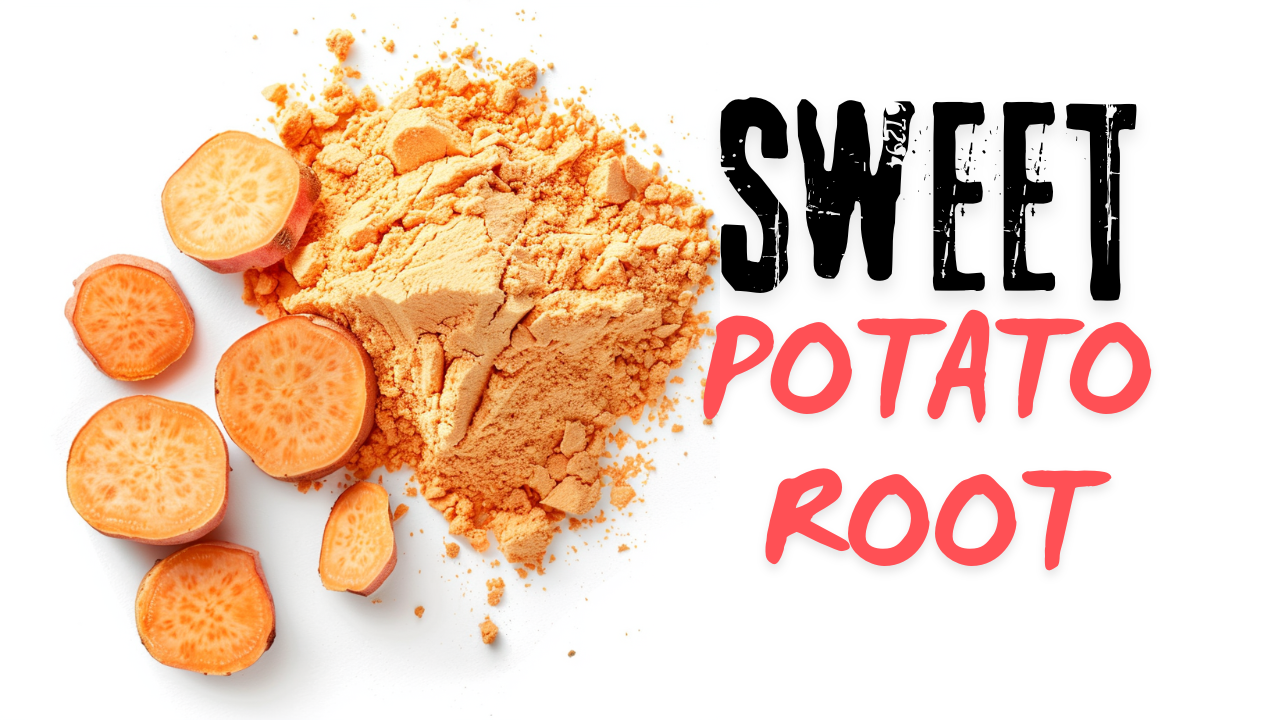 Sweet Potato Root: The Nutrient-Dense Superfood for Optimal Health