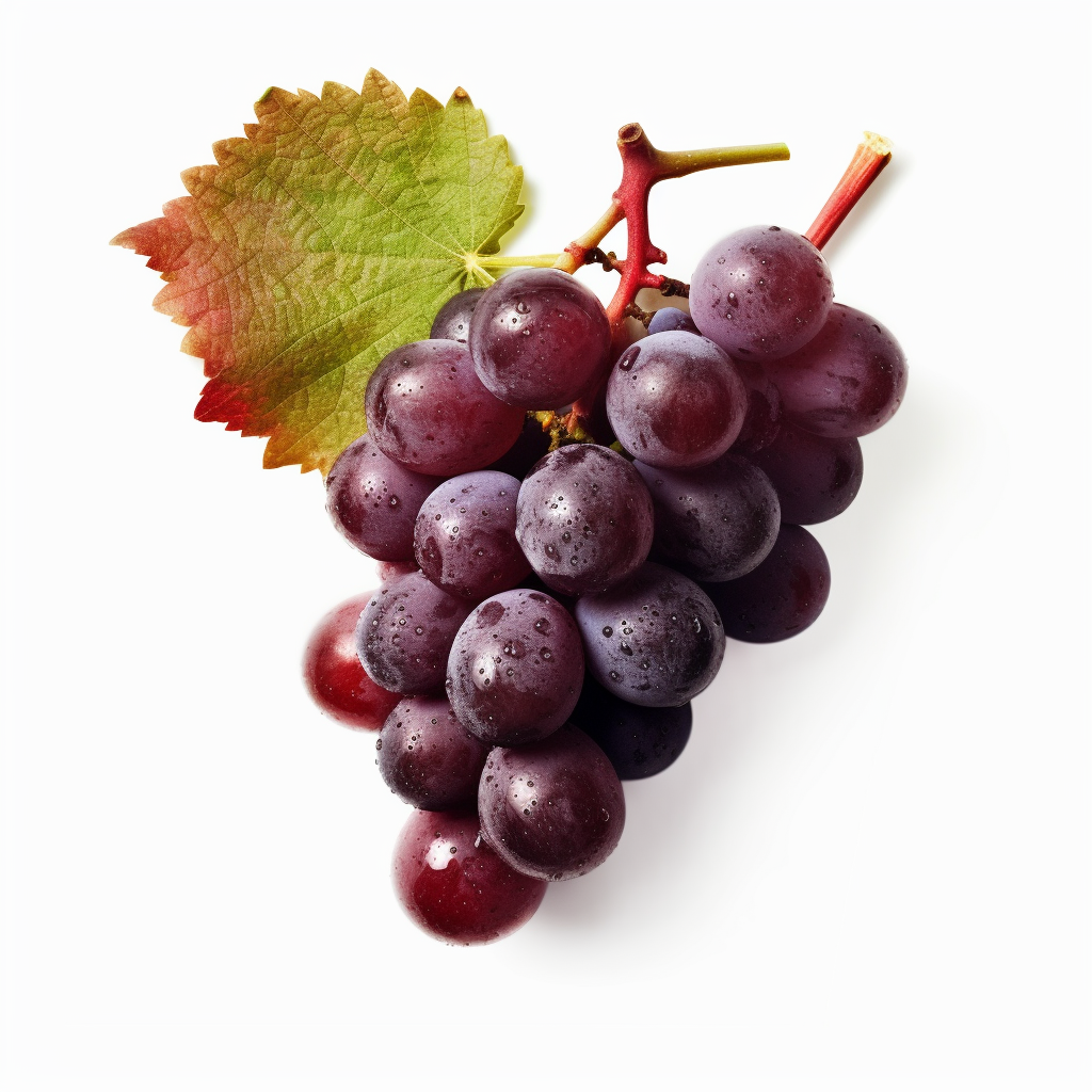 Benefits of Grape Skin Extract - Reddy4.com