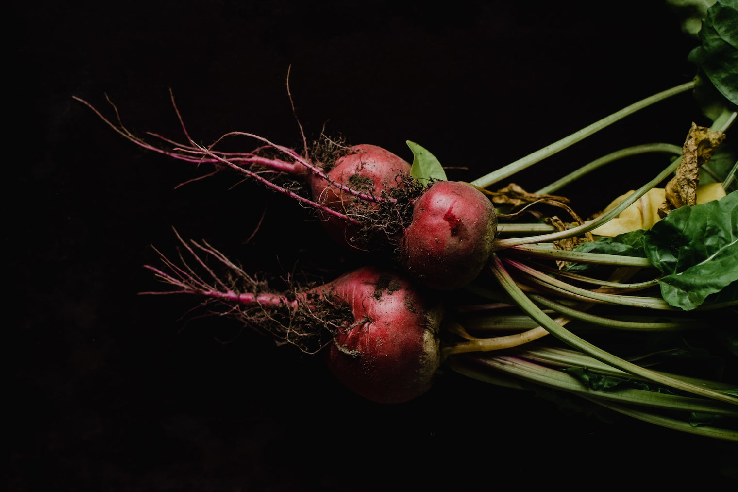 The Power of Beets: Unlocking the Health Benefits with Reddy Red Superfood Powder - Reddy4.com