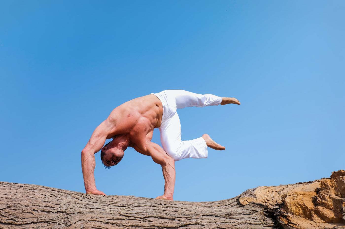 Unlock Your Body's True Potential with Metabolic Superfoods: Discover Reddy Superfood Powder