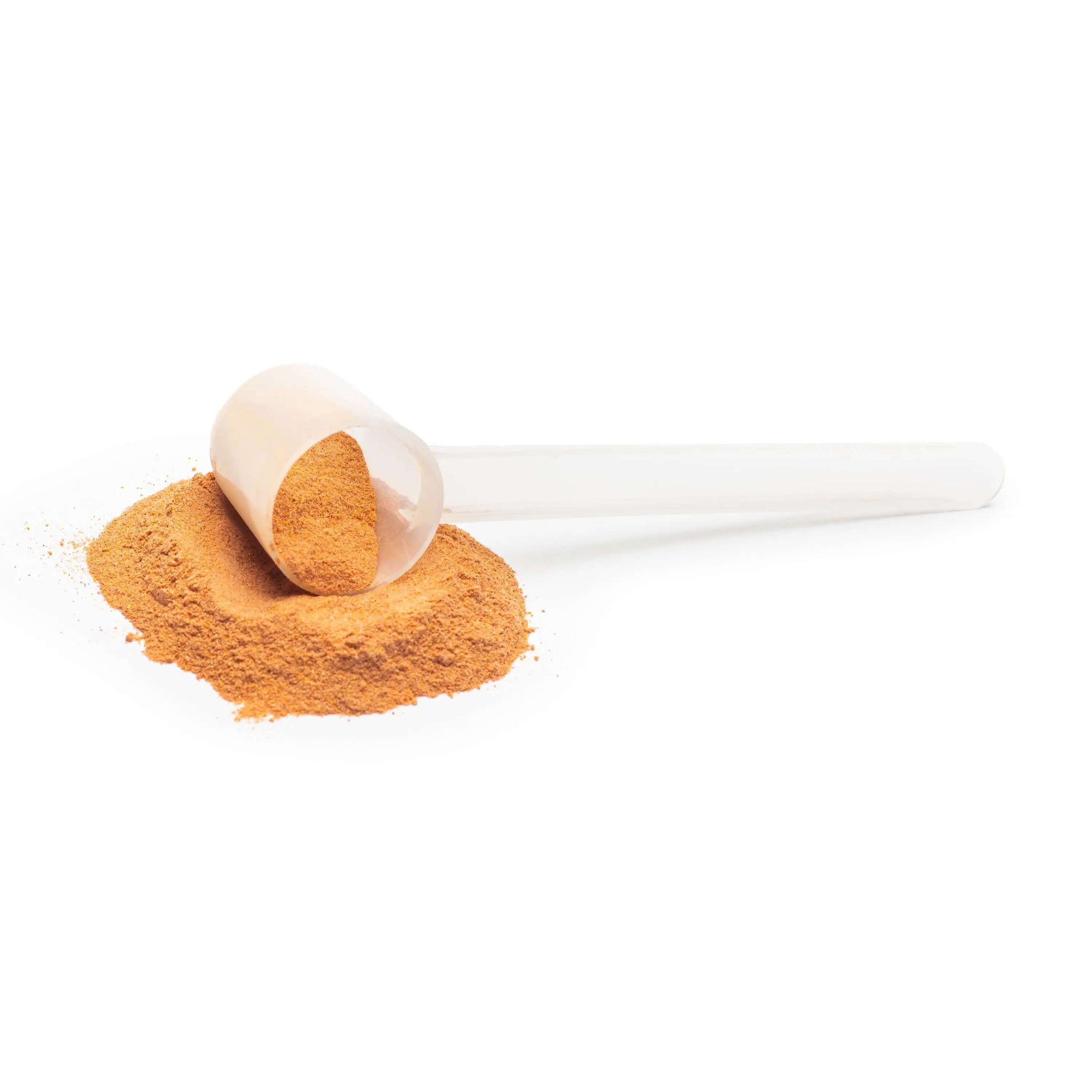 A metal scoop filled with Reddy Red Organic Superfood Powder, showcasing the powder's uniform consistency and deep red hue, ready to be added to a smoothie or meal.
